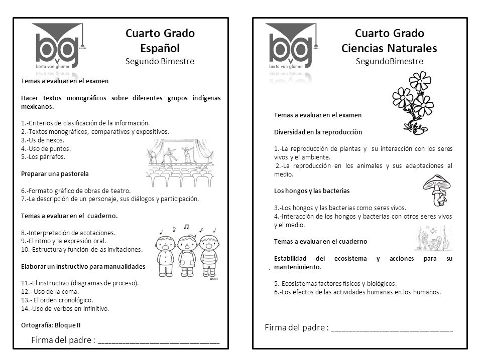 seres vivos grado segundo